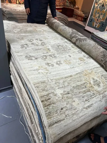 F1002