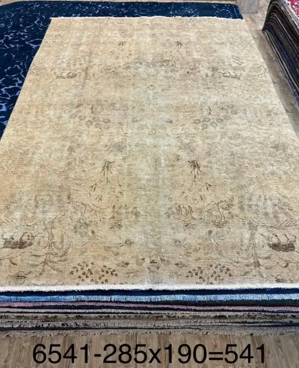 F1038